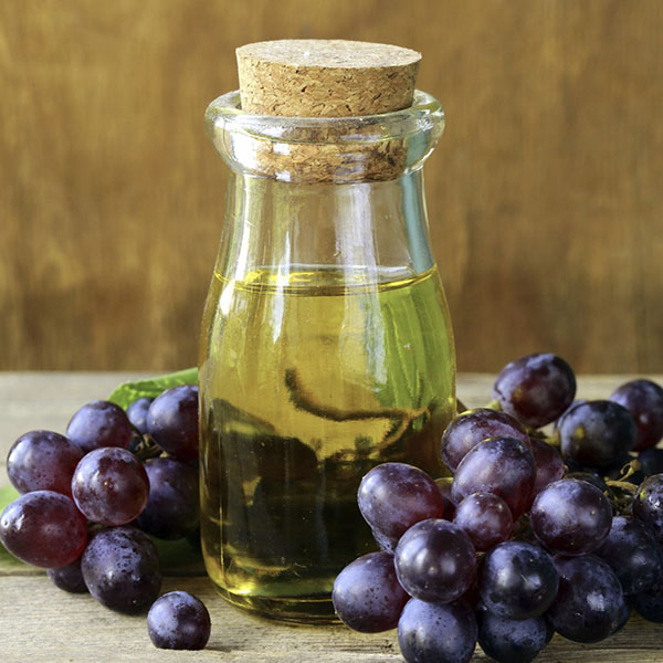 Vitis vinifera